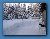 Behind barn 2