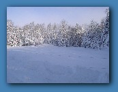 new field with snow