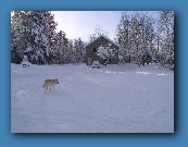 Look from barn to house