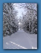 Access road to barn
